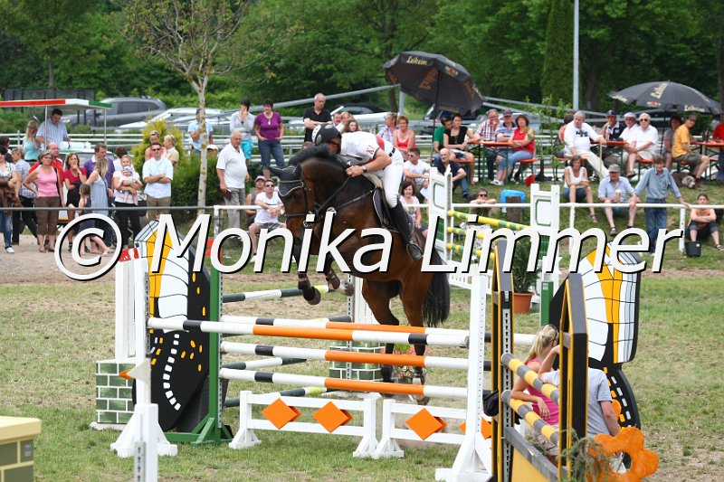 105M4409_JPs Calvaro_Spring_M.JPG